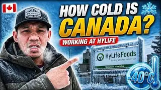 Cold Is Neepawa Manitoba? ❄️ Life, Work at HyLife | Decals installation | Hoar froast #buhaycanada 