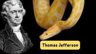 Thomas Jefferson quotes thomas jefferson education quotes