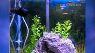 PetSolutions: Hydor Koralia Nano & Evolution Circulation Pumps