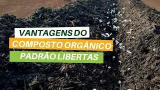 O melhor composto org&acirc;nico