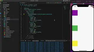 Column Widget in Flutter Using VS Code..