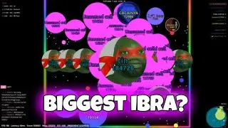 BIGGEST IBRA ?