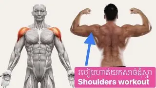Easy Shoulder Muscles -  WORKOUT