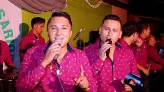 Lorito de pluma Verde - Zafiro Sensual en Concierto (Fermín Producciones)