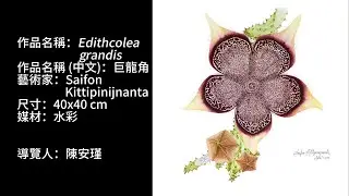 導覽系列Ep8│cc subtitles│巨龍角 Edithcolea grandis