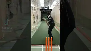 cricket simulator  a#trending #shorts