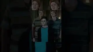 My favorite Fred and George lines