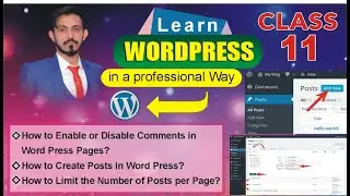 How to Limit Posts Per Page + Create Posts in WordPress | Complete Beginner Tutorial