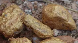 Unearth millions of volcanic gold nuggets from gold mines