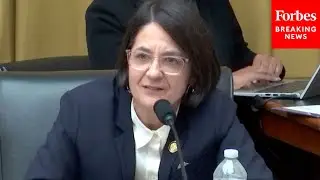 Becca Balint Blasts Trump For Attempting To End Birthright Citizenship