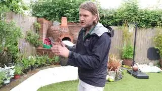 How to plant an all year round garden