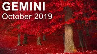 GEMINI OCTOBER 2019 TAROT  
