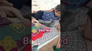 best fered #spacial #youtube #shortsfid #viralvideo