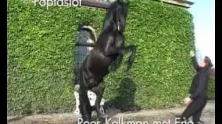 Frieseparels, the most beautifull movie about the History of the Frisian Horse.
