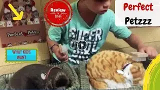 Perfect Petzzz Realistic Sleeping Dog and Cat Toy Review w/Maddox