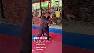 Shaolin Kungfu Residential Camp