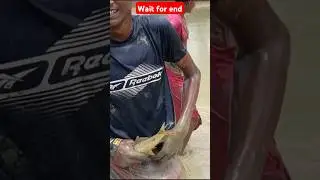group fishing short #fish mach dhora