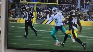 Matt Moore gets splattered by Steelers