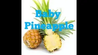 Exotic Fruits | Taste Test *Baby Pineapple