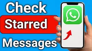 Как проверить избранные сообщения в WhatsApp