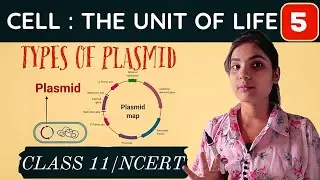 Types of Plasmids in Prokaryotic Cells | Class 11 NCERT Biology | Biology by Sheetal