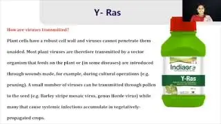 INDIAGROW Mi Spray & Y-ras Products Malayalam Training ( Contact 9526211121 )
