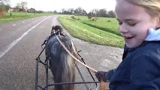 Paard & Vlog 4 Bifi voor de kar