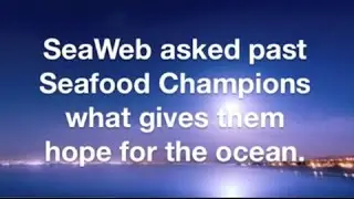 SeaWeb Ocean Voices: What Gives You Hope for the Ocean?