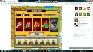 [ Ninja Saga ] Dragon Hunt auto capture Pet August 5 2016