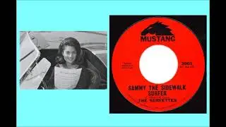 07 The Surfettes - Sammy The Sidewalk Surfer