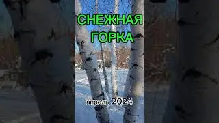 20240427 snow slide