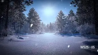 Frosted Forest in Winter Solstice | Ethereal Winter Minimal drone  Music | WS25.05