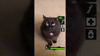 I hear a hunter (Zoey's cat issues) #cats #funny #left4dead #hunter #shorts