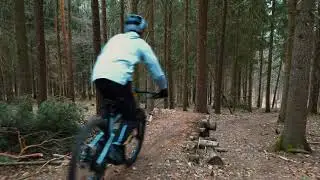 Mit dem Hund auf dem Trail