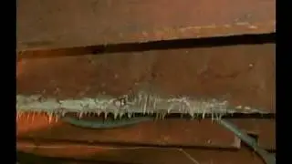 Mold Inspection Certification / Mold Remediation Certification