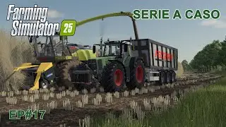 UNA SERIE A CASO EP#17: CIPPATURA PIOPPO E NUOVO GROSSO ACQUISTO
