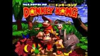 DKC  Advanced [Tool Assisted] (Let's Play) (01:19:35.00) #kaizo #romhack