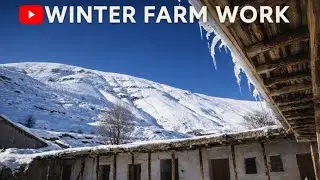 Busy Rural Farm Life/Daily Tasks with Sheep and Livestock