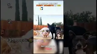 Top 5 best funny Moments in CS2 😂 #cs2 #csgo #funnyclips #cs2memes #gaming #shorts