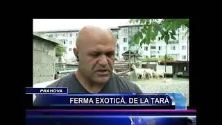 Ferma exotica, Floresti Prahova