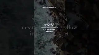 Ramadan Reminder By Shaykh Adam #2 #islamicvideo #islam #quran #allah #ramadan2023 #viral #fyp #fypシ