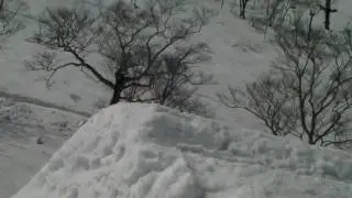２０１００４２６