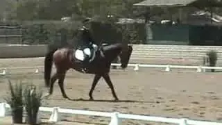 Colonel Grimm and Beneto Training Level Test 2