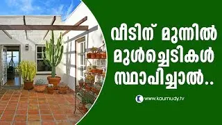 What'll happen if you place thorny plants in front of your house? | Fengshui | Kaumudy TV