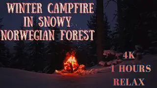 Winter Campfire in Norwegian Mountains 🌲🔥 Night Snow Relaxation | 1 Hour