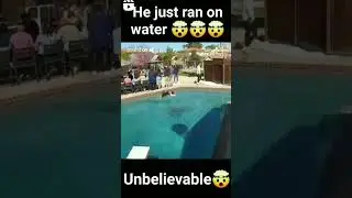 cat run on water#shorts #viralshorts #cat