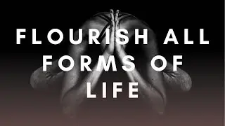 Flourish all forms of Life - Positive psychological functioning & positive social functioning