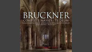 Mass No. 1 in D Minor: Agnus Dei