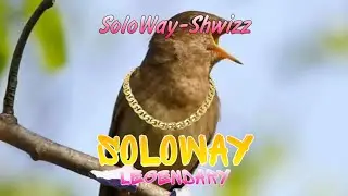 SoloWay-Shwizz