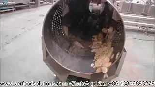 VERFOODSOLUTIONS Fried Potato Chips Continuous Flavoring Machine Test for Australia Customer